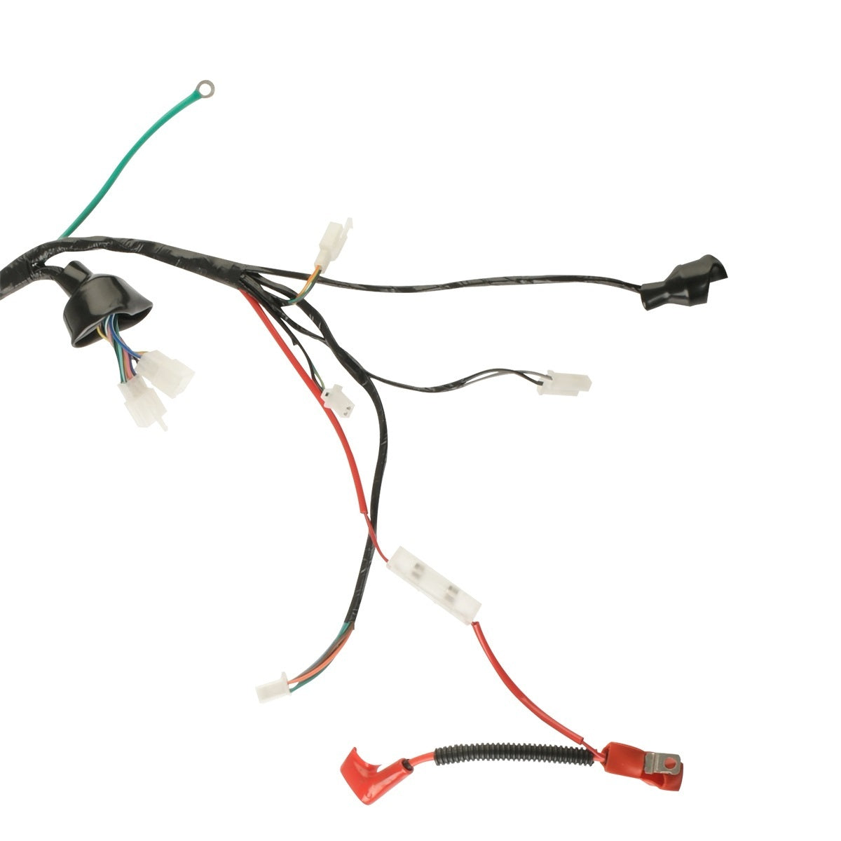 ARNES PRINCIPAL - 125Z