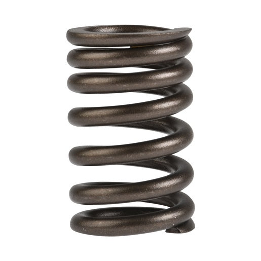 RESORTE VALVULA - 170Z, DM250, RT250, 200Z, 250Z