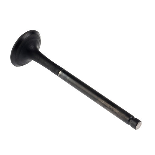 VALVULA ESCAPE - 125FL, 125FLPL, 125FL GPS