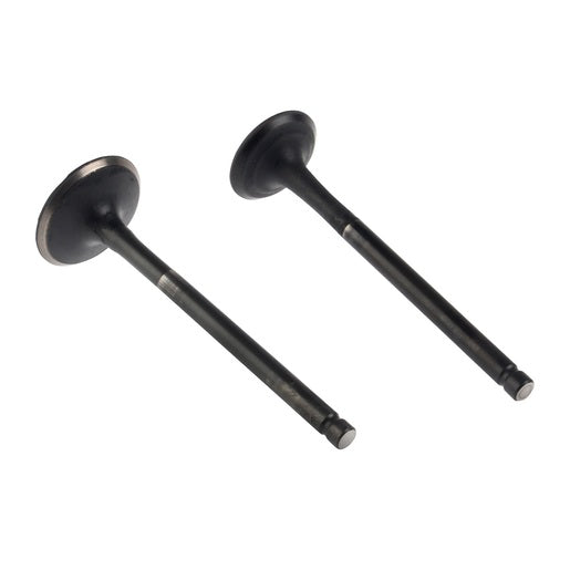 JUEGO VALVULAS MOTOR - 125FL, 125FLPL, 125FL GPS