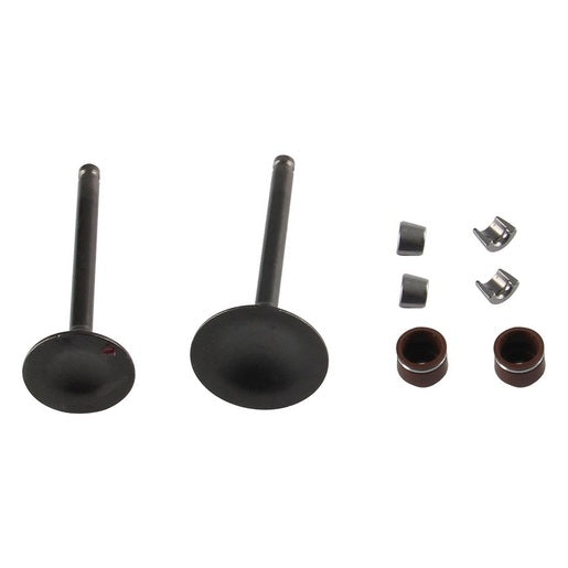 JUEGO VALVULAS MOTOR - ATV150, ATV150-II, ATV150-II C/REVERSA, DS150, DS150 NARANJA, DS150 NEGRO, GS150, GS150 LED, GS150 LED CAJA, GS150 LED ELITE, GSC150, GSC175, GTS175, GTS175 LED, GTS175 LED CAJA, MODENA 150, TRN150, TRN175, VITALIA150, WS150, WS1...