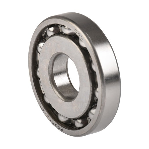 BALERO RADIAL BOLAS 6006X2/20 - DM250, RT250, DM250X, ZDM250, 250Z