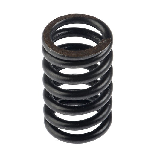 RESORTE EMBRAGUE - 125FL, 125FLPL, 125FL GPS