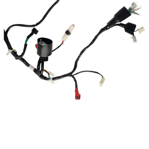 ARNES PRINCIPAL - FT200TS