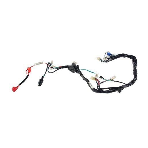 ARNES PRINCIPAL - 125FL, 125FLPL, 125FL GPS