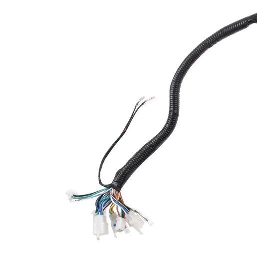 ARNES PRINCIPAL - DT150, DT150 CLASICA