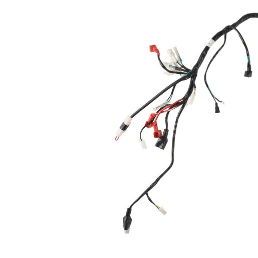 ARNES PRINCIPAL - AT110LT