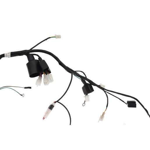 ARNES PRINCIPAL - DM150