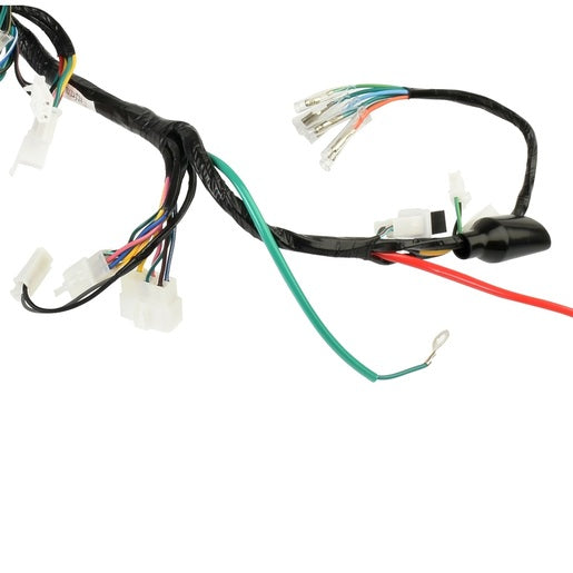 ARNES PRINCIPAL - FT125TS