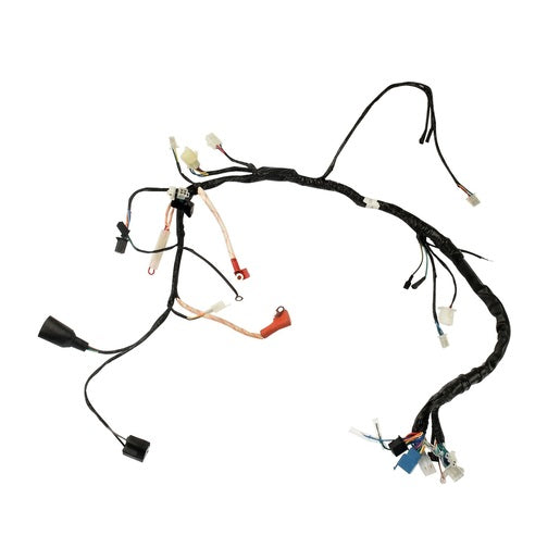 ARNES PRINCIPAL - 250SZ