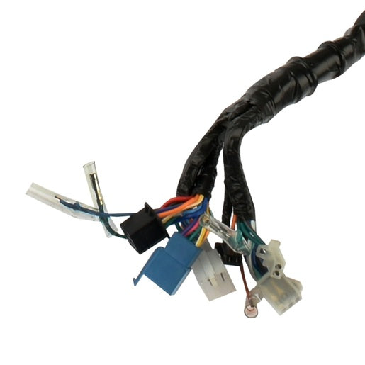 ARNES PRINCIPAL - 250SZ