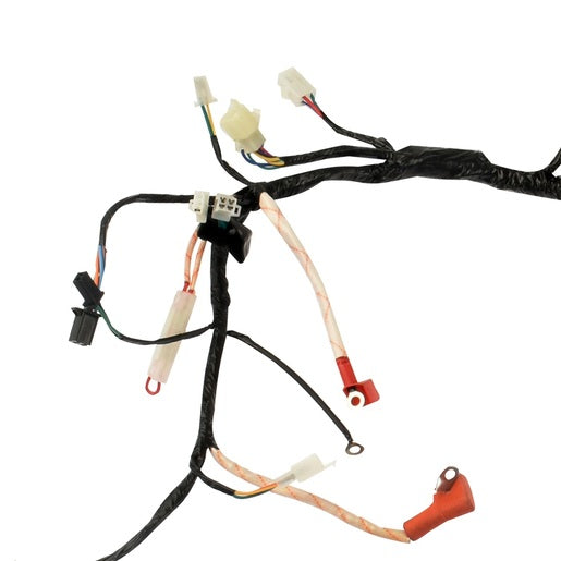 ARNES PRINCIPAL - 250SZ