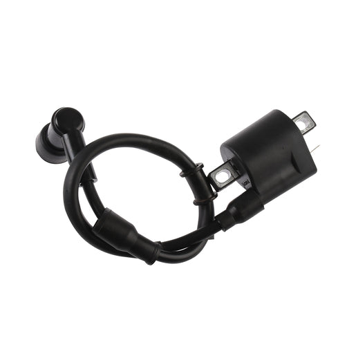 BOBINA IGNICION - DM250, DM150