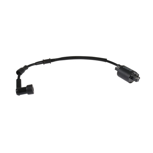 BOBINA IGNICION - DM250, DM150