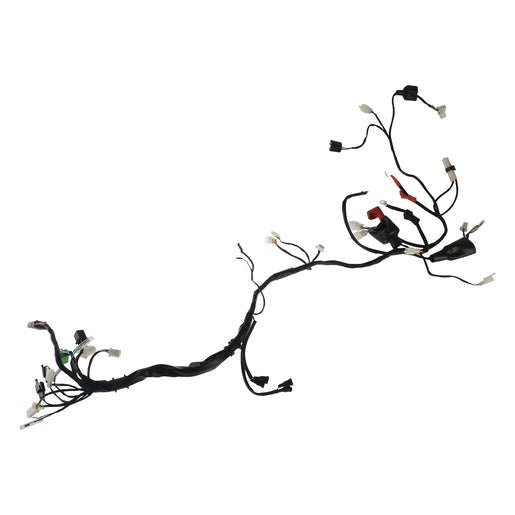 ARNES PRINCIPAL - FT250GTS - FERRETERÍA WITZI