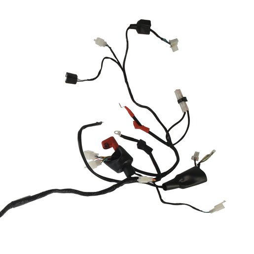 ARNES PRINCIPAL - FT250GTS - FERRETERÍA WITZI