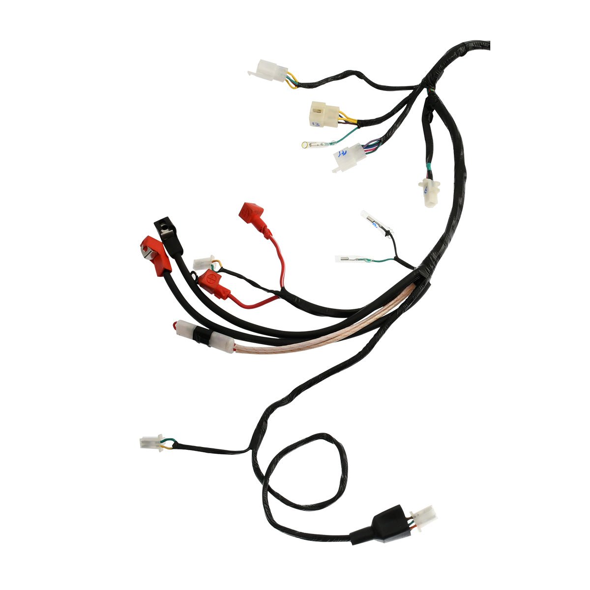 ARNES PRINCIPAL REFACCIONES - FERRETERÍA WITZI