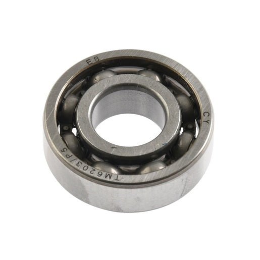 BALERO RADIAL BOLAS 6203/P63/TM - 250SZ, FT250, FT250TS, RTC250, VORT - X 300, FIERA250, BLACKBIRD - FERRETERÍA WITZI