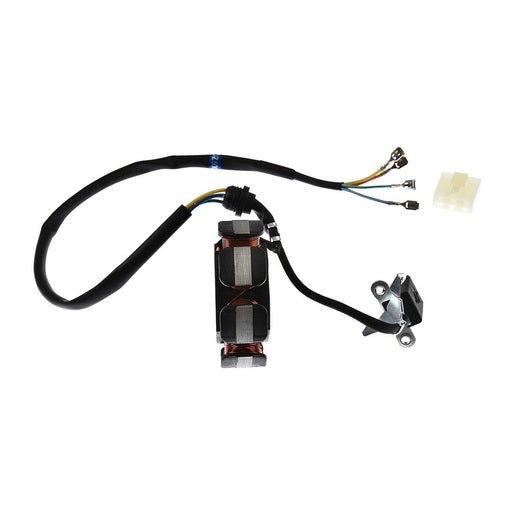 ESTATOR - DT200 SPORT, FT180, FT200, FT200 AM, FT250, FT250TS, RT180, FIERA250, FIERA200, BLACKBIRD, FT200TS - FERRETERÍA WITZI