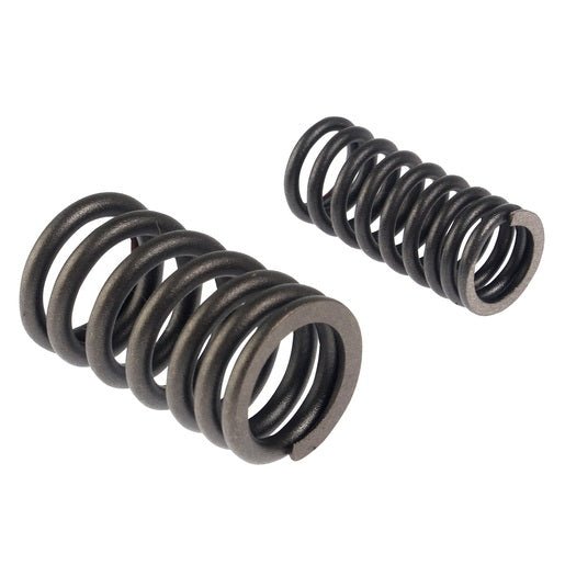 JGO RESORTES VALVULA - 250SZ, FT250, FT250TS, RT250, FIERA250, RTC250 - FERRETERÍA WITZI