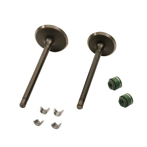 JUEGO VALVULAS MOTOR - DT200, FT200, FT200 AM, TC200, TC200 BLANCA, FIERA200, TC200NEGRA, DT200 SPORT, FT200TS - FERRETERÍA WITZI