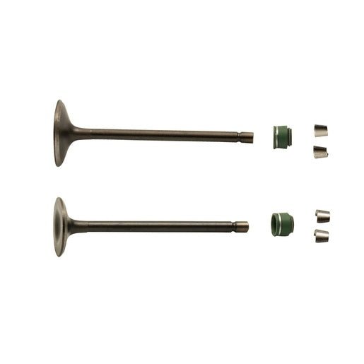 JUEGO VALVULAS MOTOR - DT200, FT200, FT200 AM, TC200, TC200 BLANCA, FIERA200, TC200NEGRA, DT200 SPORT, FT200TS - FERRETERÍA WITZI