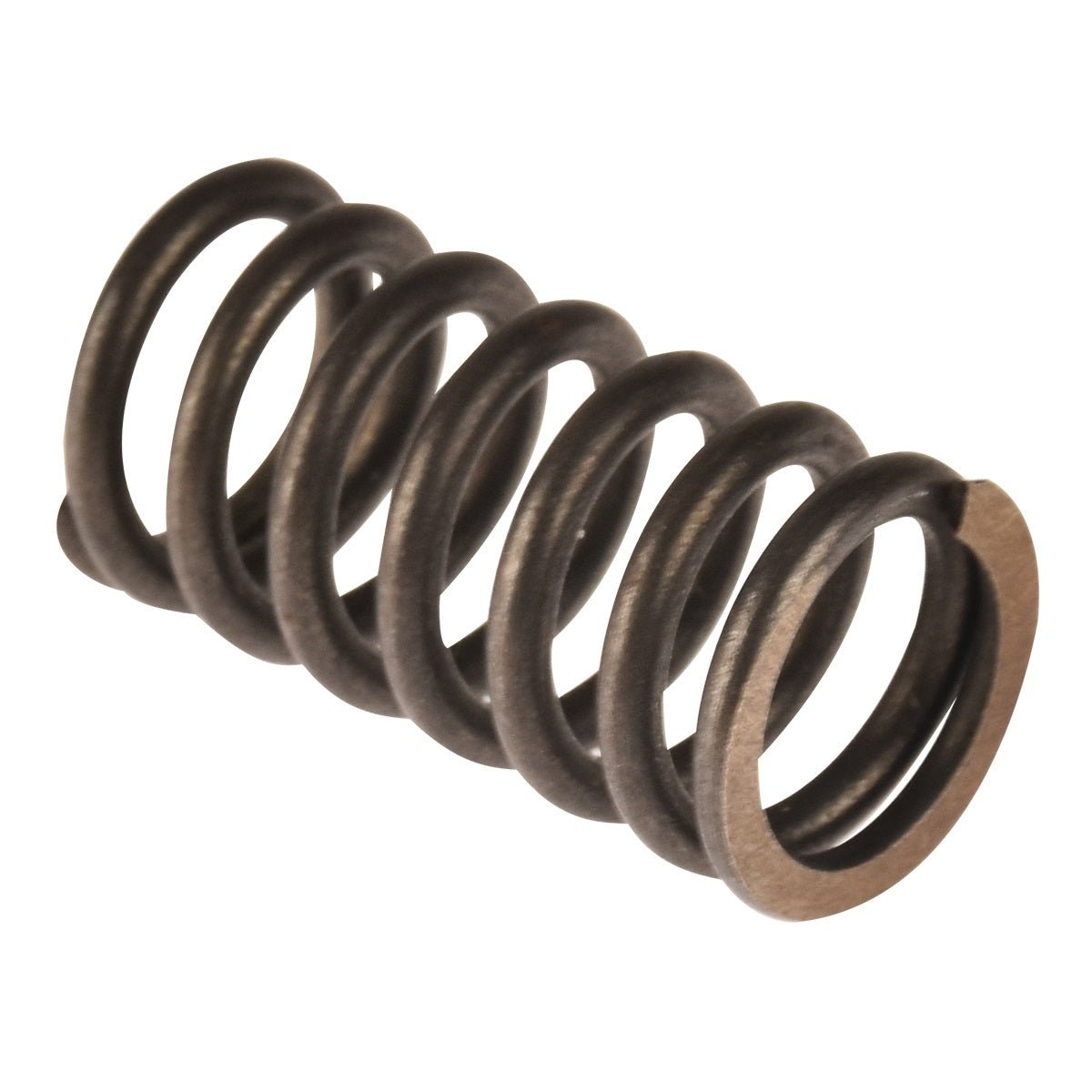 RESORTE INTERNO VALVULA - FERRETERÍA WITZI