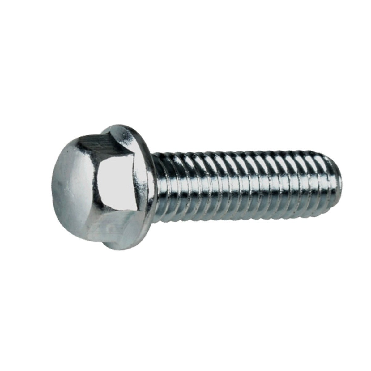 TORNILLO 6M*20 - FERRETERÍA WITZI