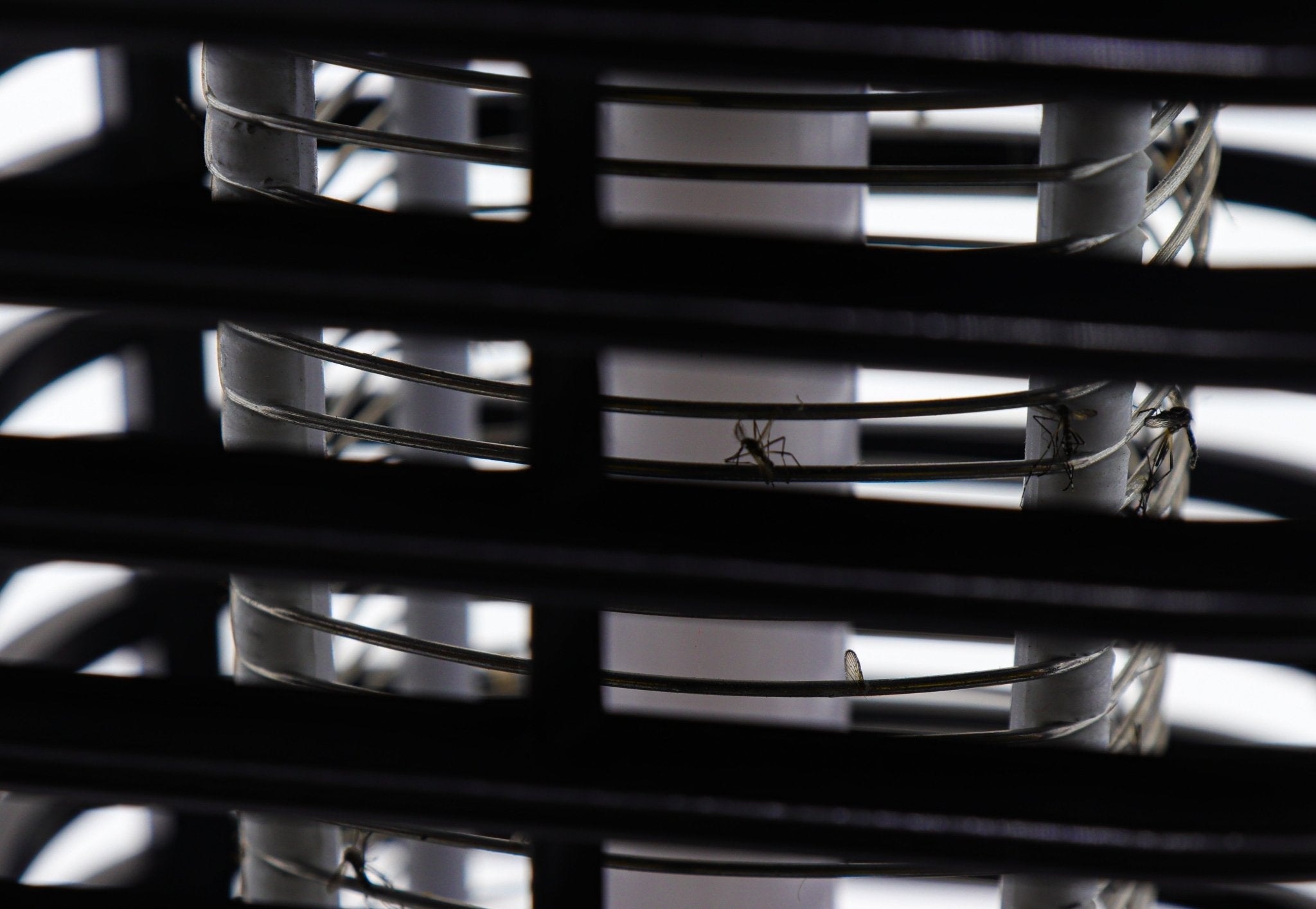 Linterna Exterminadora De Mosquitos, Adir - FERRETERÍA WITZI