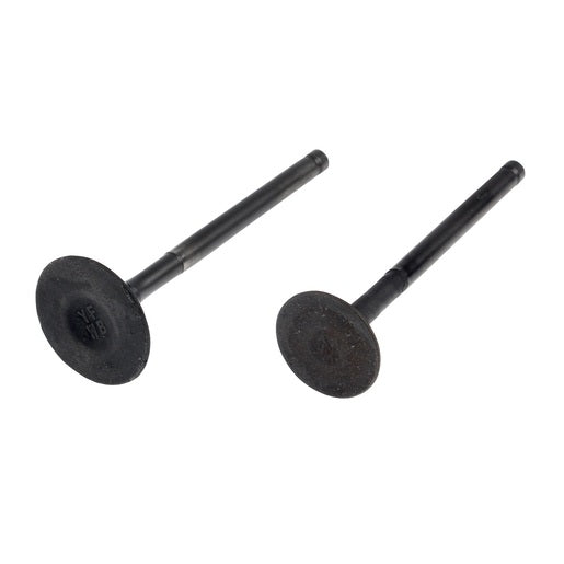 JUEGO VALVULAS MOTOR - 125FL, 125FLPL, 125FL GPS