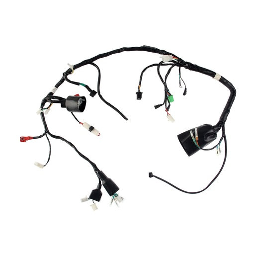 ARNES PRINCIPAL - FT200TS