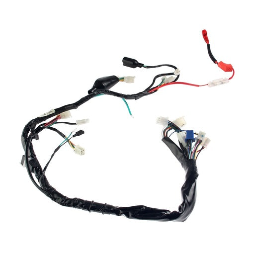 ARNES PRINCIPAL - 125FL, 125FLPL, 125FL GPS