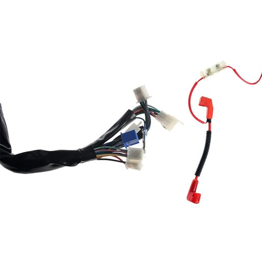 ARNES PRINCIPAL - 125FL, 125FLPL, 125FL GPS