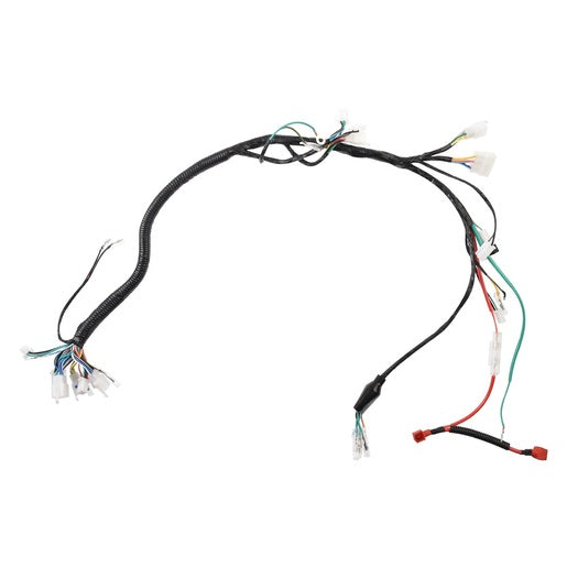 ARNES PRINCIPAL - DT150, DT150 CLASICA