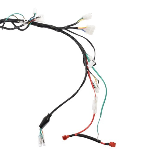 ARNES PRINCIPAL - DT150, DT150 CLASICA