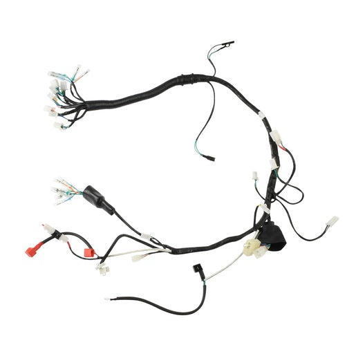 ARNES PRINCIPAL - DT150S, FT150GTSIII