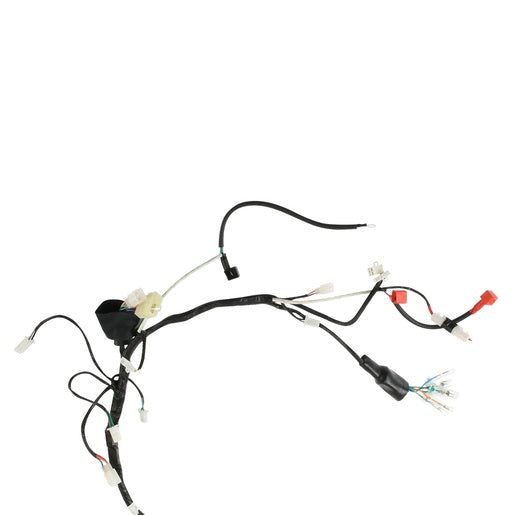 ARNES PRINCIPAL - DT150S, FT150GTSIII