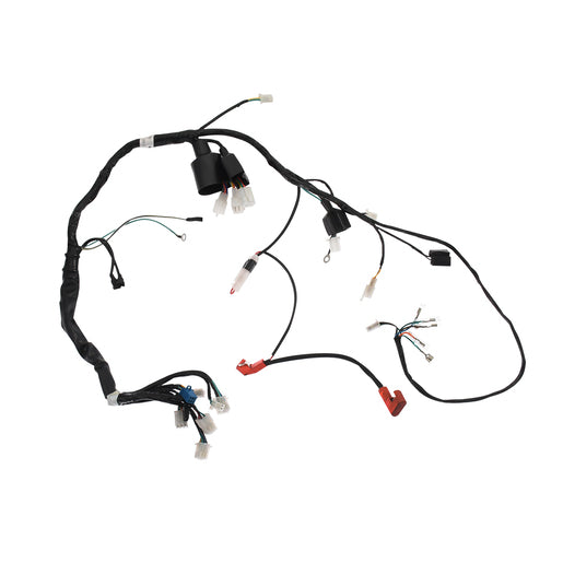 ARNES PRINCIPAL - DM150