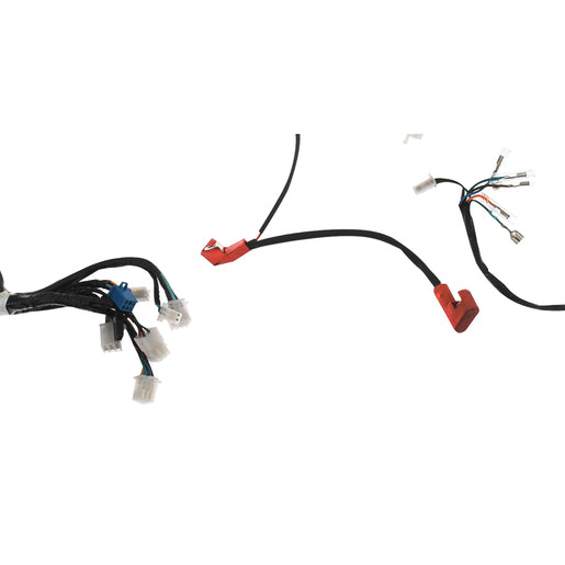 ARNES PRINCIPAL - DM150