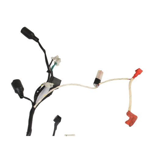 ARNES PRINCIPAL - FT150GTSII