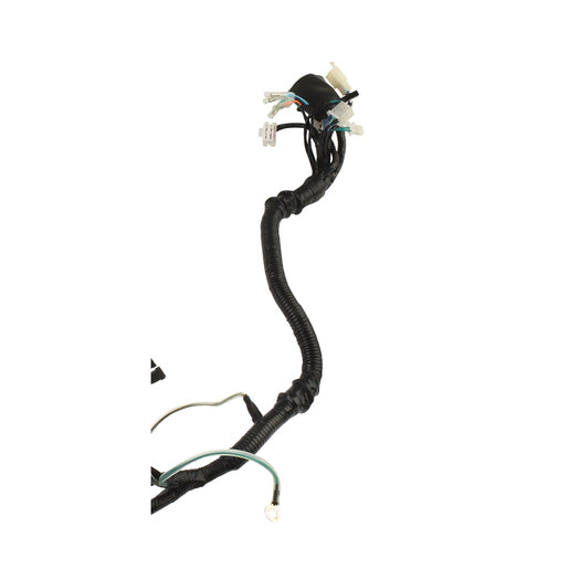 ARNES PRINCIPAL - FT150GTSII