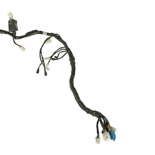 ARNES PRINCIPAL - 250Z