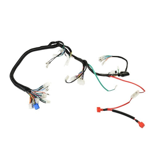 ARNES PRINCIPAL - FT125TS