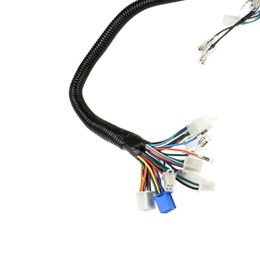 ARNES PRINCIPAL - FT125TS