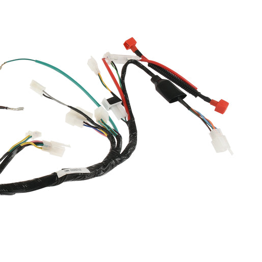 ARNES PRINCIPAL - FT150TS