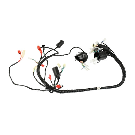 ARNES PRINCIPAL - BIT 150II