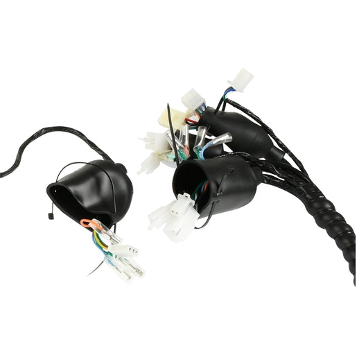 ARNES PRINCIPAL - BIT 150II
