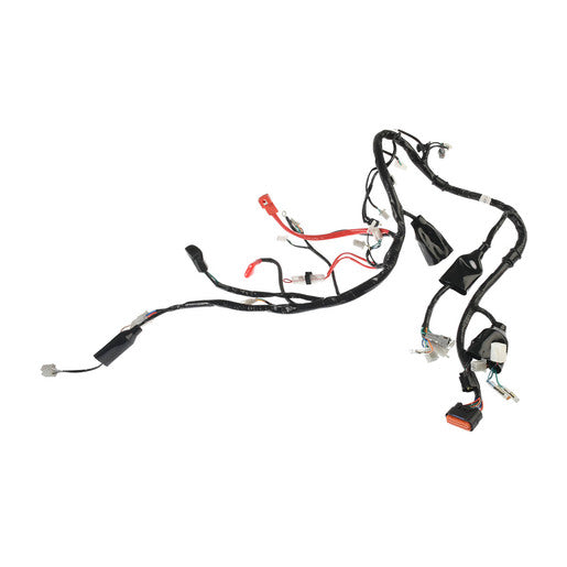 ARNES PRINCIPAL - 280Z