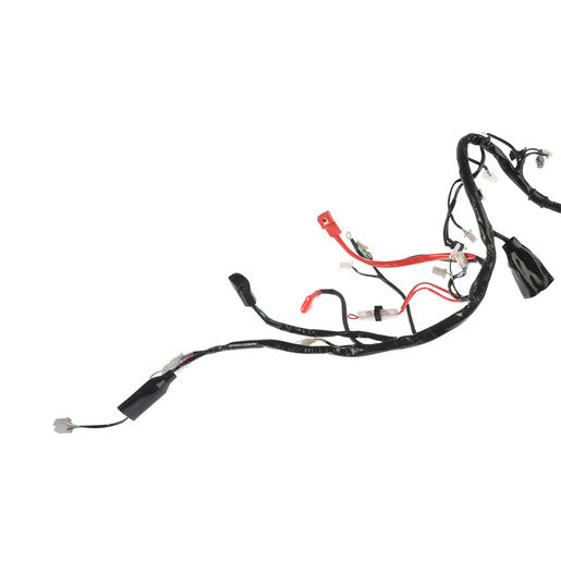 ARNES PRINCIPAL - 280Z