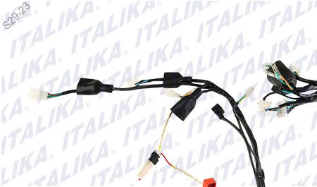 ARNES PRINCIPAL - FERRETERÍA WITZI